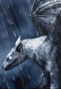 Обложка книги "Мирабэль Джангло"