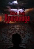 Обложка книги "Хризалида. Книга первая. Путь предвестника  "