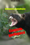 Обложка книги "Спираль уробороса. Золотая баба"