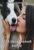 Обложка книги "Мой правильный выбор."