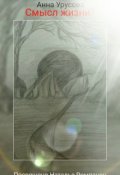 Обложка книги "Смысл жизни?"