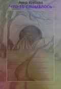 Обложка книги "Что-то сломалось."