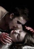 Обложка книги "Мастер :могильный холод "