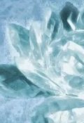 Обложка книги "Кувшинки из горного хрусталя"