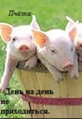 Обложка книги "День на день не приходиться."