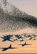Обложка книги "Убийца Дронов. Глава 2.Попытка ответного удара."