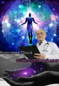Обложка книги "Совершенный мир"