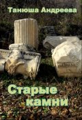 Обложка книги "Старые камни"