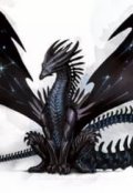 Обложка книги "Когда прилетят драконы"