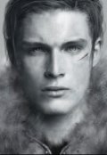 Обложка книги "Метаморфозы"