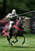 Обложка книги "Рыцарский турнир."