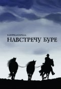 Обложка книги "Навстречу буре"
