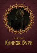 Обложка книги "Клинок Бури"