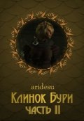 Обложка книги "Клинок Бури 2"
