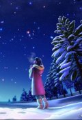 Обложка книги "Новогоднее чудо."