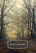 Обложка книги "Поэт с дрелью"