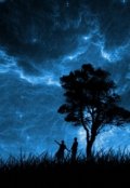 Обложка книги "Звезды выгорают"