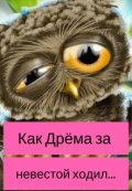 Обложка книги "Как Дрёма за невестой ходил..."