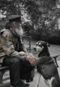 Обложка книги "Голос"