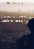 Обложка книги "Главная причина любить закаты"
