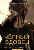 Обложка книги "Чёрный Вдовец"