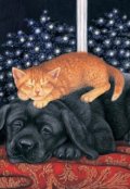 Обложка книги "Занимательная беседа"