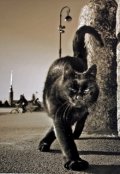 Обложка книги "Добро в большом городе"