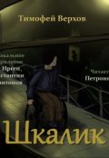 Обложка книги "Шкалик"