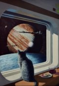 Обложка книги "Недостающее звено"