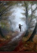 Обложка книги "Странник"