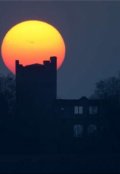 Обложка книги "Лунное озарение"
