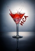 Обложка книги "Иса (рассказ про любовь и выбор)"