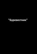 Обложка книги "Буревестник"