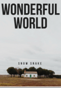 Обложка книги "Wonderful world"