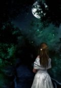 Обложка книги "Хеллуин"