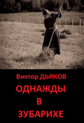 Обложка книги "Однажды в Зубарихе"