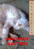 Обложка книги "Феномен Мастера: Опыт Философского Эссе..."