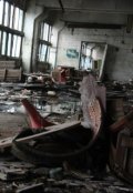 Обложка книги "Заброшенный военный завод"