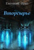 Обложка книги "Вторсырье"