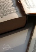 Обложка книги "Поруганная честь учебника искусств."