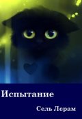 Обложка книги "Испытание"