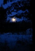 Обложка книги "Воля звезд"
