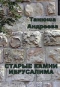 Обложка книги "Старые камни Иерусалима"