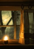 Обложка книги "Впусти "