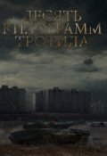 Обложка книги "Десять килограмм тротила "