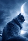 Обложка книги "Кошачья благодарность"