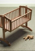 Обложка книги "Удивительная пара"