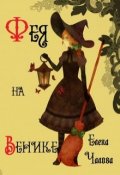 Обложка книги "Фея на венике"