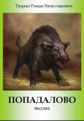 Обложка книги "Попадалово"
