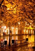 Обложка книги "Осенний сумрак"